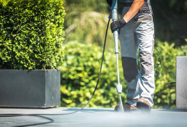 Best Paint Preparation  in Cary, IL