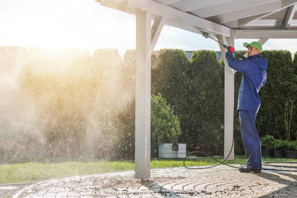Trusted Cary, IL Pressure Washing Services Experts
