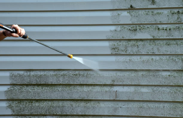 Best Gutter Cleaning  in Cary, IL