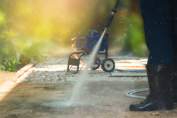 Best Driveway Pressure Washing  in Cary, IL